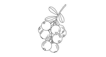 Cluster of Berries on Branch with Leaves