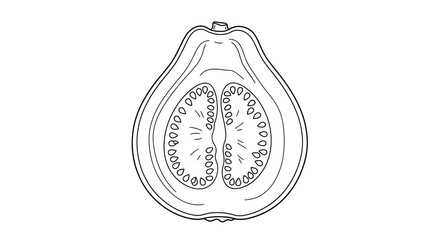 Cross Section of Fresh Fruit Halves on White Background