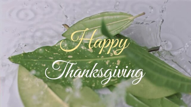 Happy Thanksgiving text animation over green leaves with water splashes