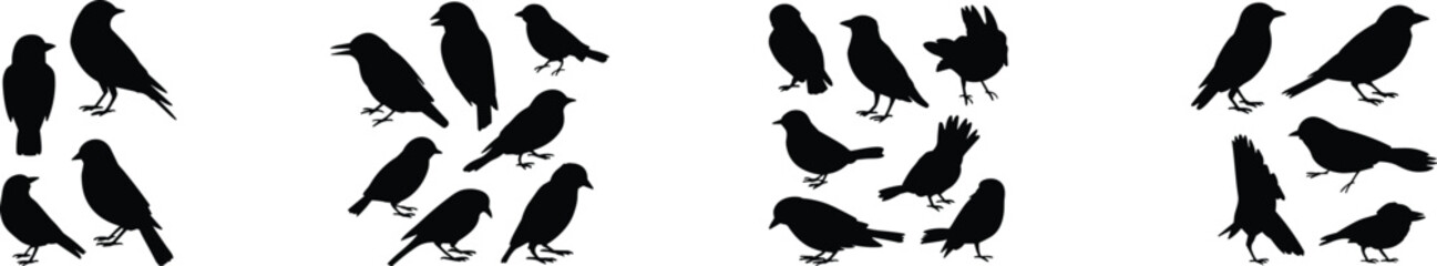Obraz premium Bird silhouette icon set, standing and walking birds collection, black avian shapes, wildlife vector illustration
