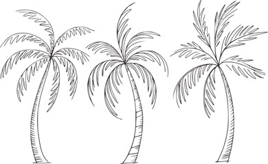 Three hand drawn black and palm trees with fronds handdrawn