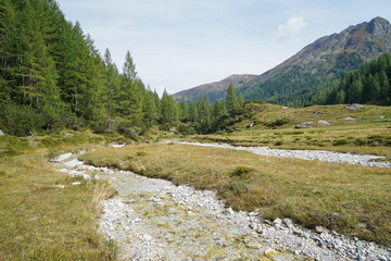 Fototapeta premium Scenic Hiking Trail Across Ursprungalm with Alpine Meadows and Mountain Views