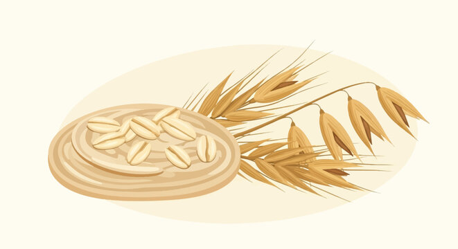 A stylized depiction of rolled oats and oat stalks on a cream background