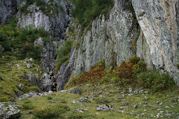 Beautiful Alpine Landscape while Hiking on Ursprungalm, Austria