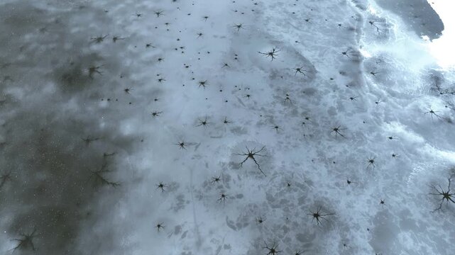 Aerial view tilting over partly, frozen river in Ann Arbor, winter day in USA