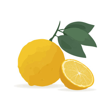 Yuzu Isolated Images – Browse 3,232 Stock Photos, Vectors, and