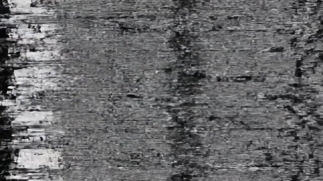 Rapidly shifting digital static noise pattern filling the entire screen with sharp black and white horizontal lines and momentary interference glitches high contrast, technology, dynamic