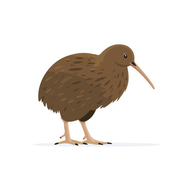Weka, modern 2D flat vector illustration in icon style, isolated on pure white background.