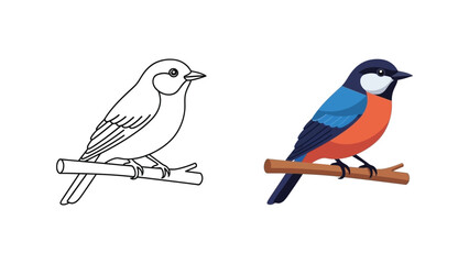 Obraz premium Illustration set showing a colorful songbird perched on a branch alongside its simple black and white outline version for coloring activities or design projects