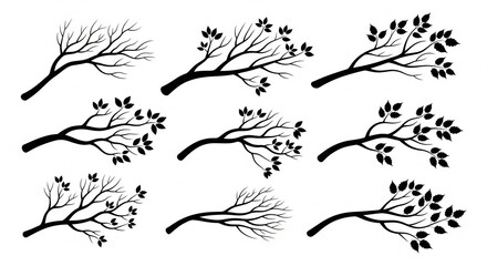 Fototapeta premium Tree silhouette vector collection with forest and nature trees isolated on white background