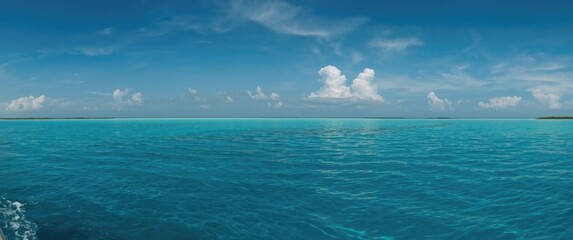 Fototapeta premium Island Mujeres and Isla Contoy Boat Tour from Cancun with Whale Shark Experience and Stunning Tropical Seascape in Quintana Roo