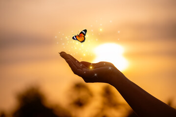 Butterfly Resting on Finger Tip Against Golden Sunset Sky. Butterfly resting finger tip hand touch freedom inspiration nature concept hope serenity golden sunset 