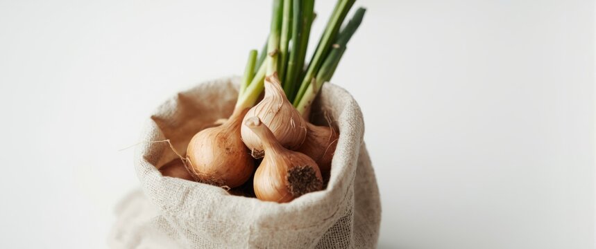 Planting small onions in a linen bag setup
