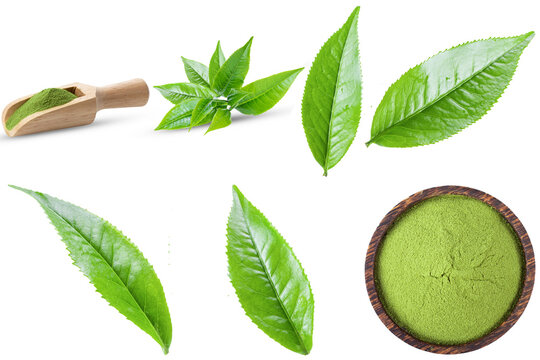 vibrant green matcha tea leaves and fine powder in a wooden scoop and bowl, isolated on a dark background.