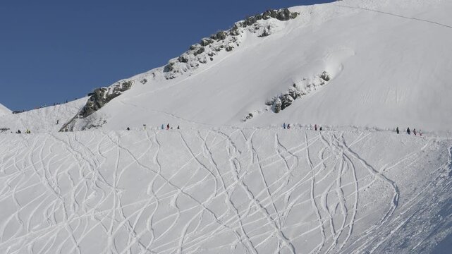 Snowy peak exploration thrill. Many skiers skiing across snow mountain piste beneath blue sky. Team of winter sports enthusiasts skiing on snowy mountain slope under bright winter atmosphere