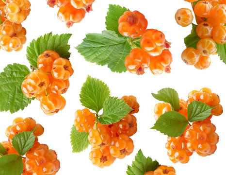 Fresh cloudberries with green leaves arranged in seamless pattern on white background, concept of fruit harvest and freshness