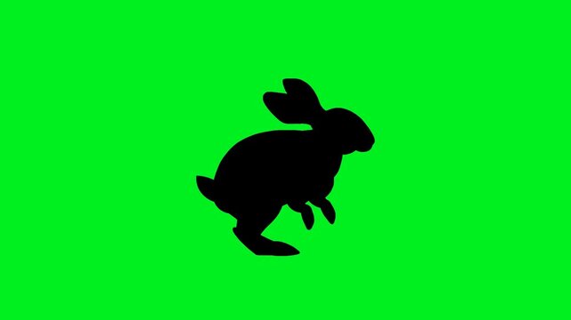 Loopable animated side view of isolated black silhouette bunny hop on green screen background. Concept of animal, nature, easter rabbit, and cartoon.