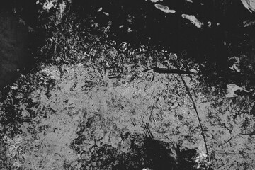 Abstract Distressed Monochrome Surface with Scratches and Splatters