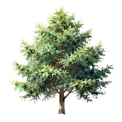 Fototapeta premium Hand-drawn illustration of a leafy tree