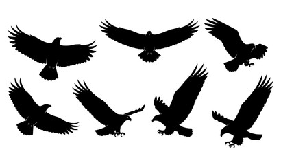 Obraz premium Minimal flying eagle silhouette vector icons collection