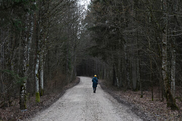 Obraz premium A person walking alone through an autumn forest