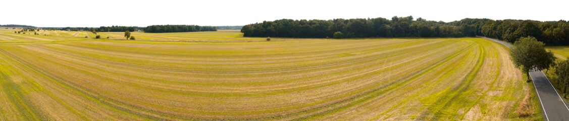 Obraz premium harvested autumnal golden field of wheat landscape isolated on white or transparent png