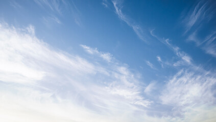 the sky is filled with soft, fluffy white clouds. the atmosphere is peaceful and calm. the sunlight is bright and liberating.