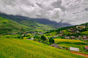 Obraz premium Rice fields in the mountains of Sa Pa, north of Vietnam