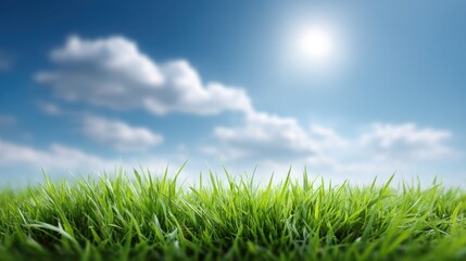 Fototapeta premium Lush Green Grass Field Under a Clear Blue Sky with Soft White Clouds and Bright Sunlight Portraying a Tranquil Outdoor Nature Scene