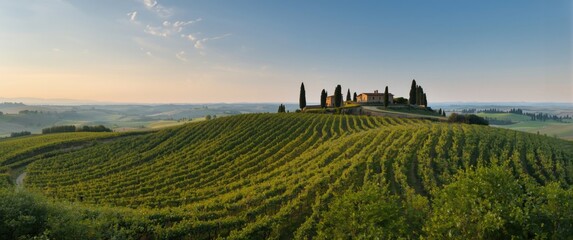 Naklejka premium Standard Tuscan countryside view