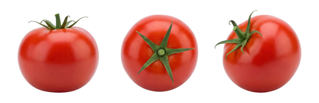 three whole ripe red tomatoes with green stems, isolated on a transparent background, showcasing different angles and natural textures, food photography.