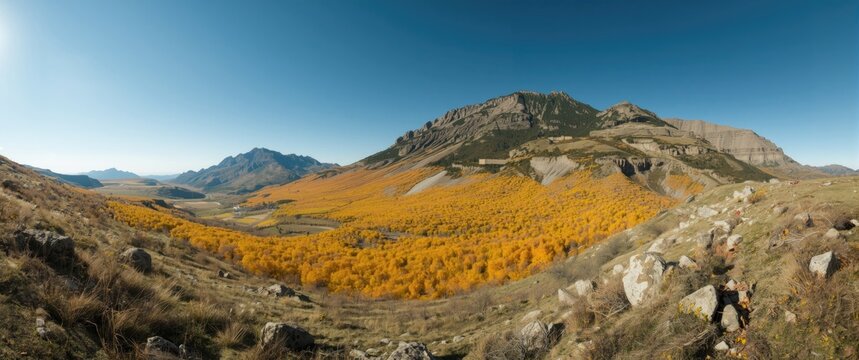 Nature panorama of autumn in Tuva, Russia