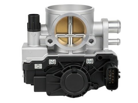 Throttle body with electronic control unit