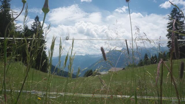 Wide scenic view of an green Alpine meadow with deep valleys and distant mountain peaks under a blue partly cloudy sky and long grass slowly swaying in the gentle wind. Austrian Alps in Vorarlberg 4K.