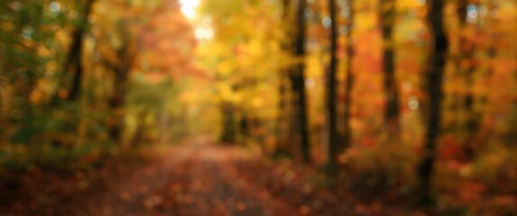 Colors of natural woodlands in an abstract, blurred background during fall