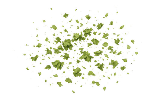 Green leaves exploding and falling, creating a dynamic burst of fresh foliage, natural debris element on transparent background