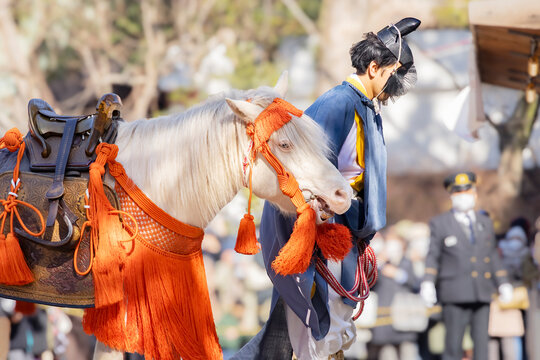 Sacred white horse and shinto priest performing Aouma Shinji (White Horse Rite) at Sumiyoshi Taisha shrine, Osaka, Japan