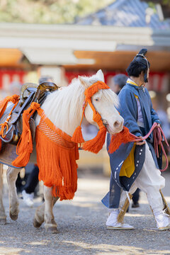 Sacred white horse and shinto priest performing Aouma Shinji (White Horse Rite) at Sumiyoshi Taisha shrine, Osaka, Japan