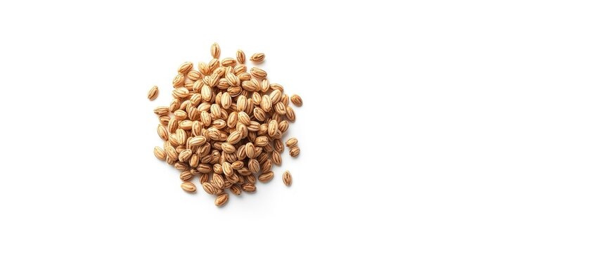 Pile of tiny striped sunflower seeds with shells isolated on white background from above