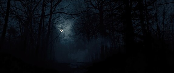 Fototapeta premium Foreboding dark forest with trees, full moon, and moonlight, evoking a dismal and ominous atmosphere with shadow and vapour, on an abstract, chilly, dark street background