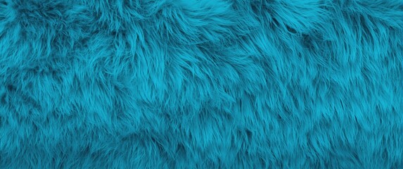Obraz premium Turquoise Fur pattern seen from above with Wool texture and shaggy fur