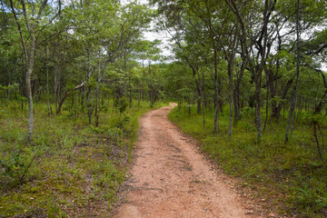 Obraz premium Dirt road in nature in Africa