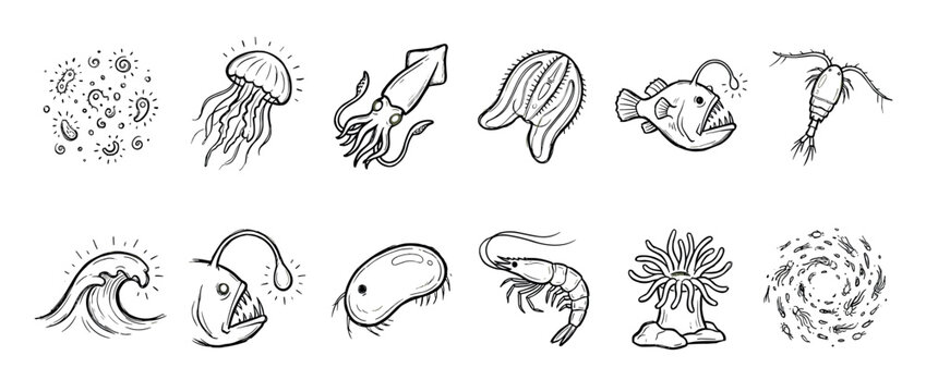 Set of hand-drawn marine life illustrations featuring deep sea creatures like anglerfish, squid, jellyfish, plankton, and shrimp in a simple black and white sketch style