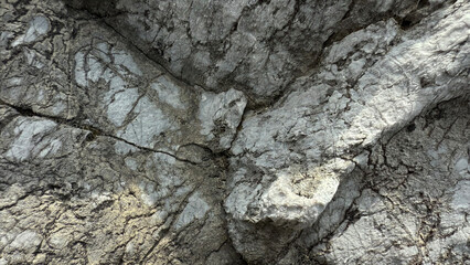 背景にも使える岩の表面の素材１２