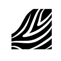 black and white zebra corner pattern