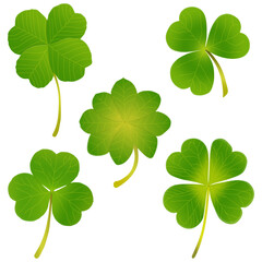 Cute light green clover leafs vector 