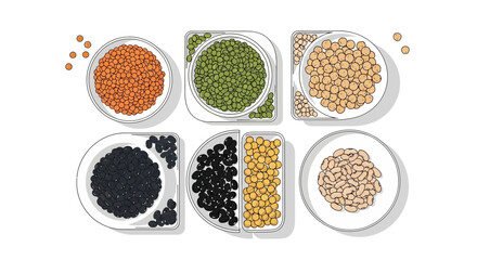 Illustration of various types of pulses and nuts, including lentils, chickpeas, and beans, arranged in bowls on a white background for World Pulses Day.