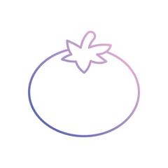 Tomato vector icon