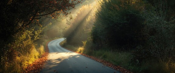 Obraz premium Vegetation-lined country road with sunlight filtering through in Greece