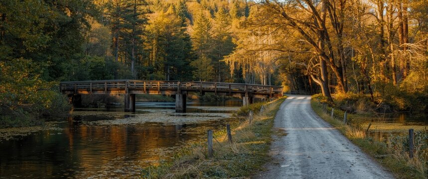 Timber bridge spanning a gravel road